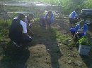 DENPASAR GO GREEN